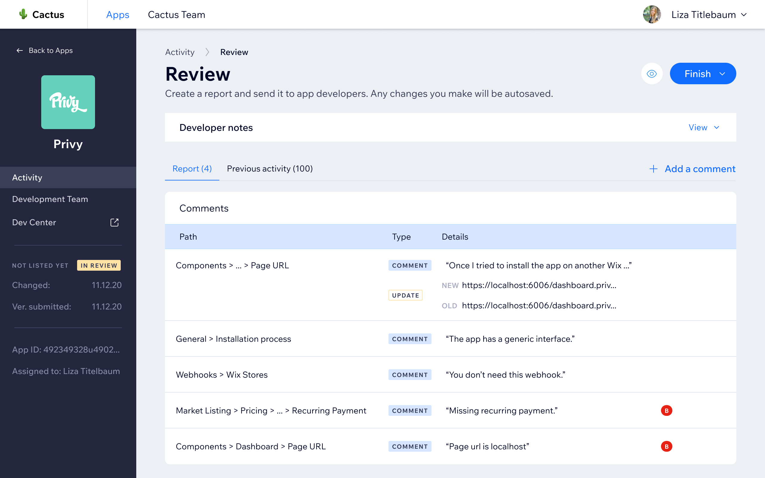 Review report - comments organized by path, flagging issues by type and location within the app