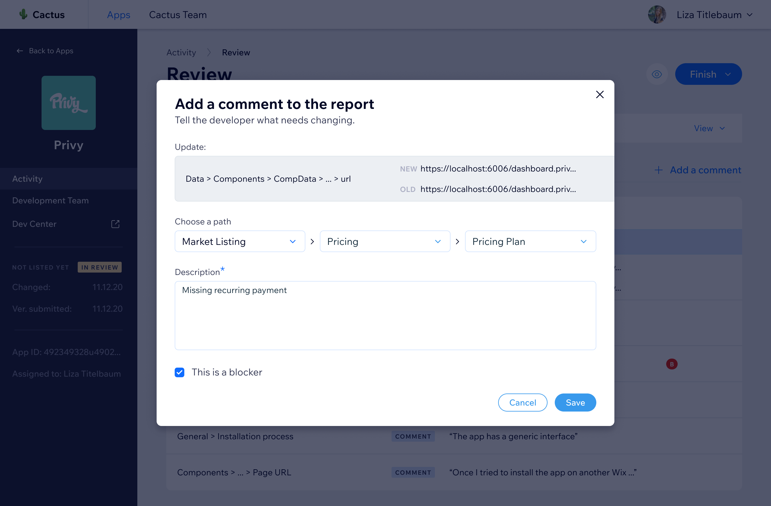 Adding a comment to the report - reviewer selects the path and describes the issue before sending it to the developer