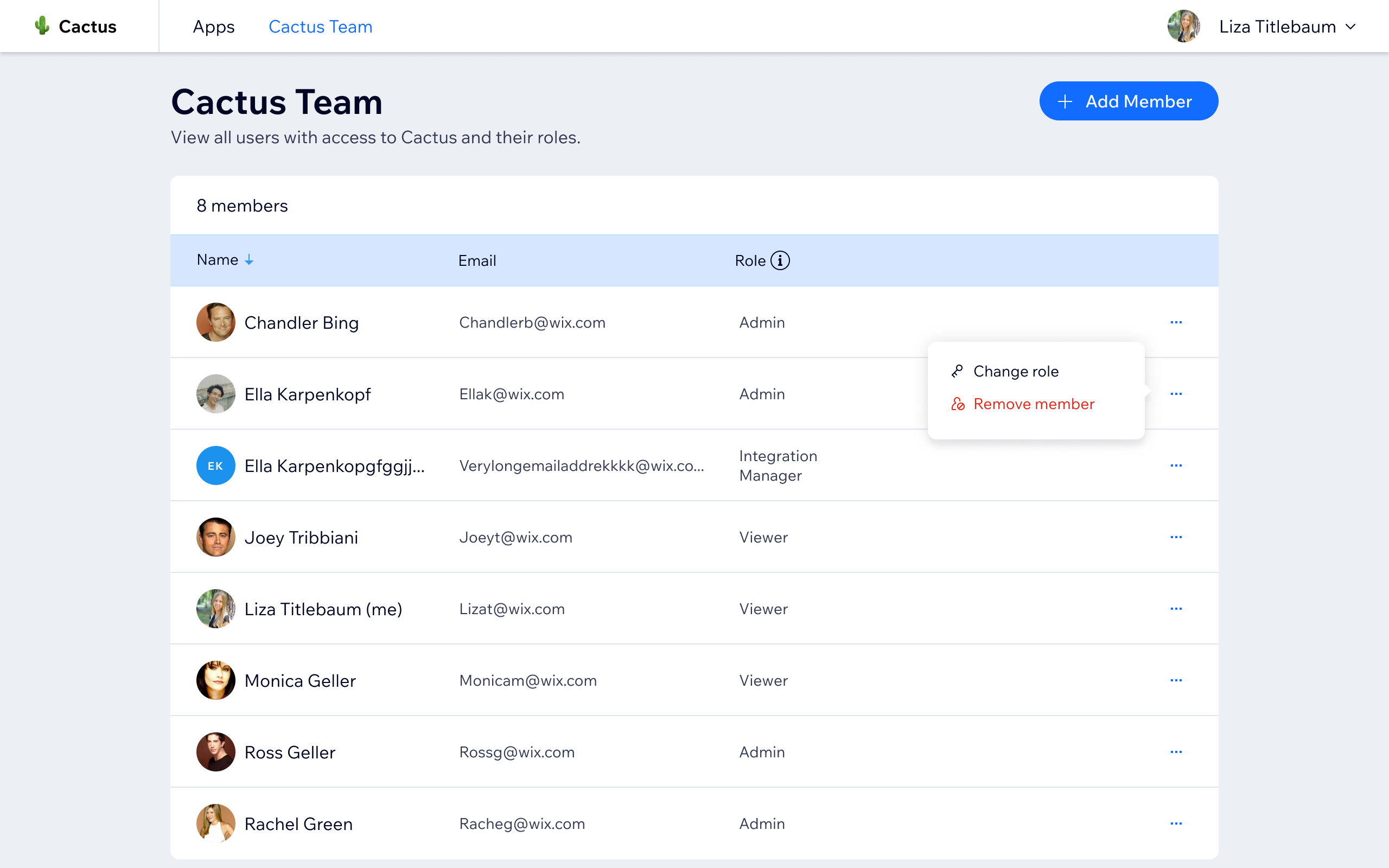 Team management - all Cactus users, their roles and emails, with options to add or remove members